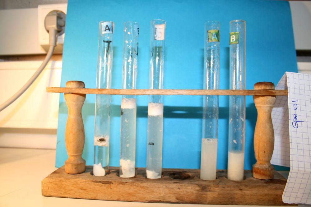 gal/LES_CINQUIEMES/ACTIVITE DIGESTION IN VITRO/Groupe_01/Groupe01_T_00h20min/Groupe01_temps00H20min_4.jpg